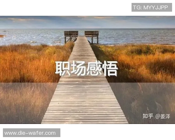 张骋宇的成长之路：从青涩少年到职场精英的奋斗历程与人生感悟